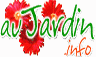 Conseils de jardinage